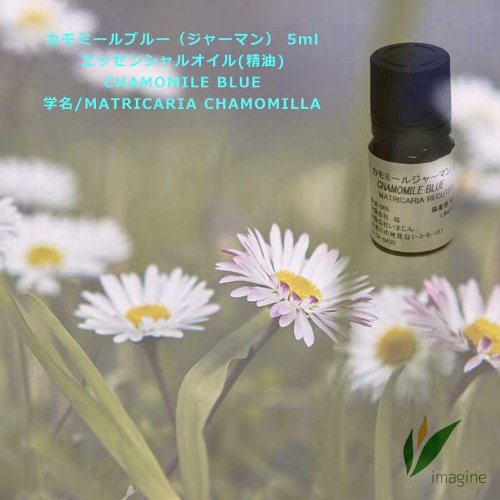 カモミールブルー（ジャーマン）　５ｍｌ