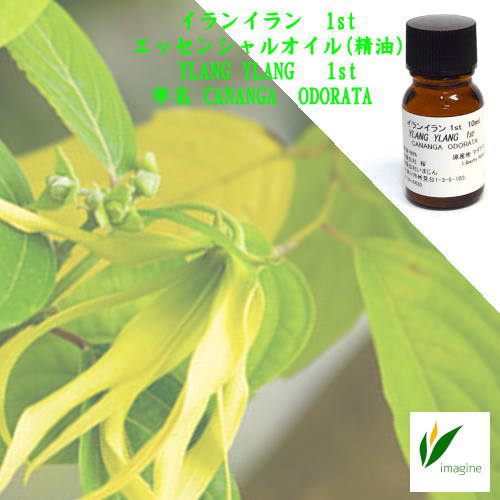 イランイラン 1st　１０ｍｌ