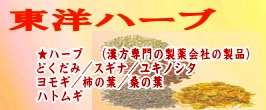 東洋ハーブ