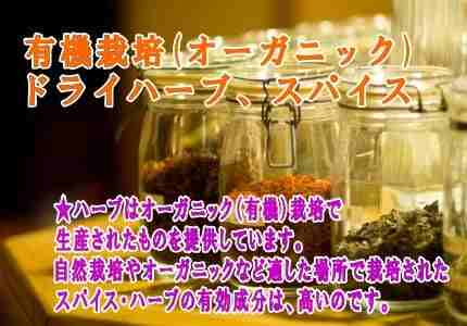 ドライハーブ・スパイス