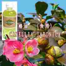 「※」椿油（食用油脂）