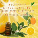 オレンジスイート／エッセンシャルオイル(精油)