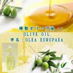 オリーブ油／精製オリーブ油