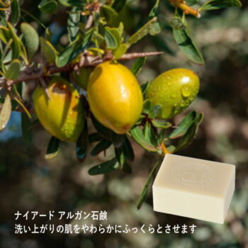 ナイアード アルガン石鹸 145g
