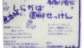 洗濯石けん(固形)／ねば塾 しらかば固形石けん 100g×3個入り