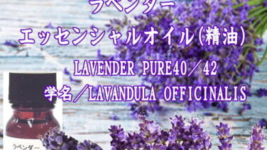 ラベンダー／エッセンシャルオイル(精油)