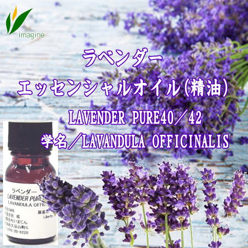 ラベンダー／エッセンシャルオイル(精油)