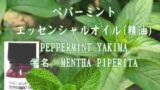 ペパーミント／エッセンシャルオイル(精油)