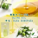オリーブ油／精製オリーブ油