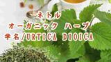 「※」オーガニック ハーブ／ネトル