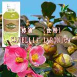 「※」椿油（食用油脂）