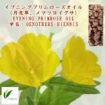 イブニングプリムローズ（月見草油）