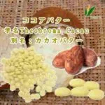 バター／ココアバター