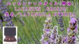 ラバンジン／エッセンシャルオイル(精油)