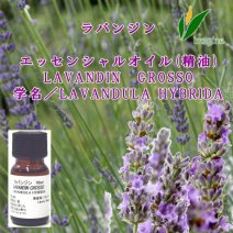 ラバンジン／エッセンシャルオイル(精油)