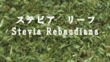 ステビア　リーフ