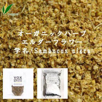 オーガニックハーブ エルダーフラワー
