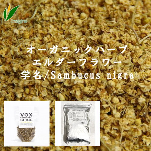 オーガニックハーブ エルダーフラワー