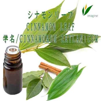 シナモンリーフ／エッセンシャルオイル(精油)