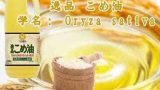 「※」逸品こめ油（食用油脂）