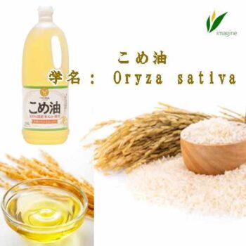 「※」こめ油（食用油脂）