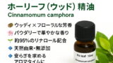 ホーリーフ（ウッド）精油 Cinnamomum camphora