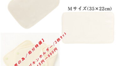 【仕様変更の為／処分特価・布ナプキンホルダー】TAKEFU 布ナプキン