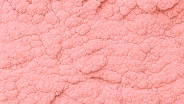 色素材（カララント）／・ピンク系