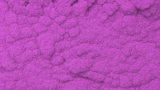 色素材（カララント）／・バイオレット系