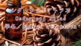 シダーウッドアトラス Cedarwood Atlas 学名／Cedrus atlantica