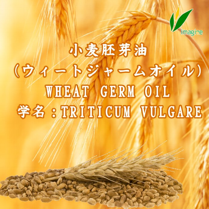 小麦胚芽油（ウィートジャームオイル）