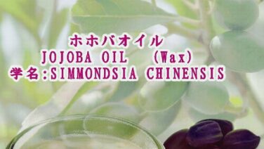 ホホバオイル(WAX)