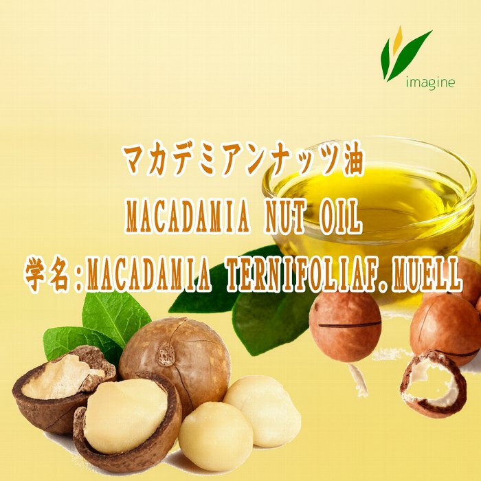マカダミアナッツ油