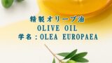 オリーブ油／精製オリーブ油