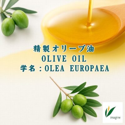 オリーブ油／精製オリーブ油