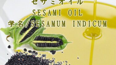 セサミオイル