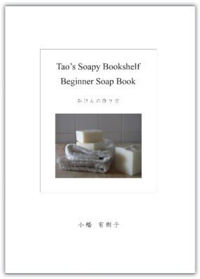tso_bookshelf_b