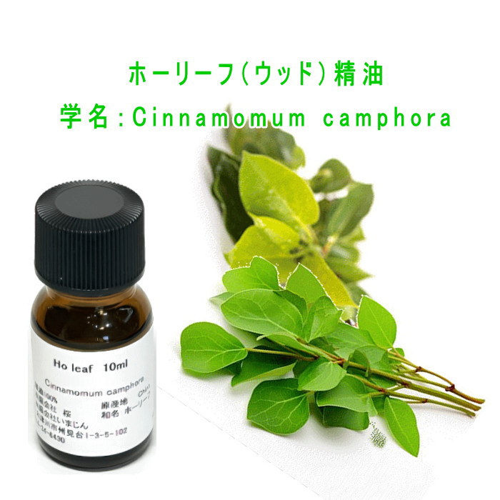 ホーリーフ（ウッド）精油