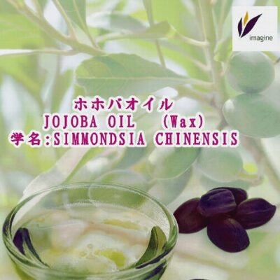 ホホバオイル （ホホバワックス）