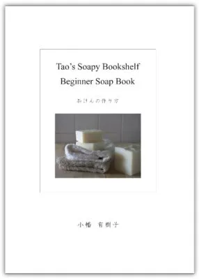 tso_bookshelf_b