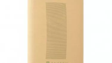 TAKEFU　キッチンタオル（ふきん）2枚入30×39cm