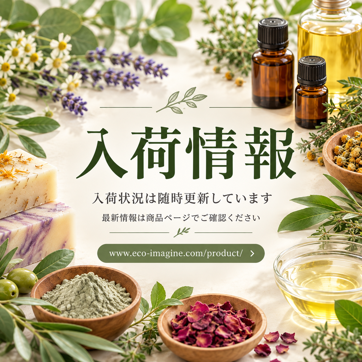 【入荷情報】