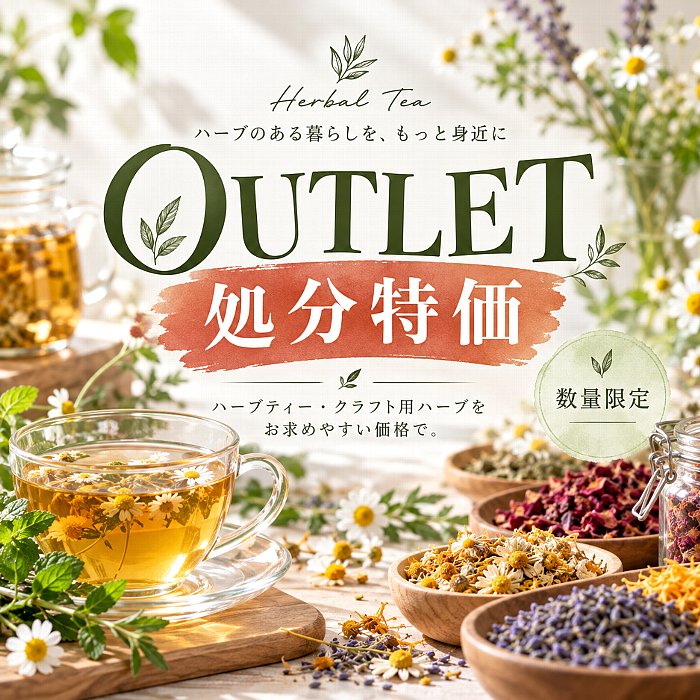 Outlet 処分特価